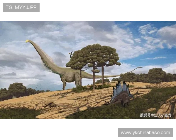 恐龙王国里的足球赛事（恐龙王国系列百科）sports